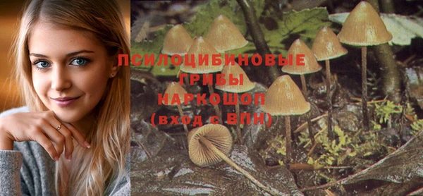 a pvp Куйбышев
