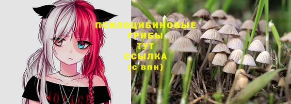 a pvp Куйбышев