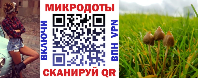 магазин продажи   МЕГА рабочий сайт  Псилоцибиновые грибы GOLDEN TEACHER  Энгельс 