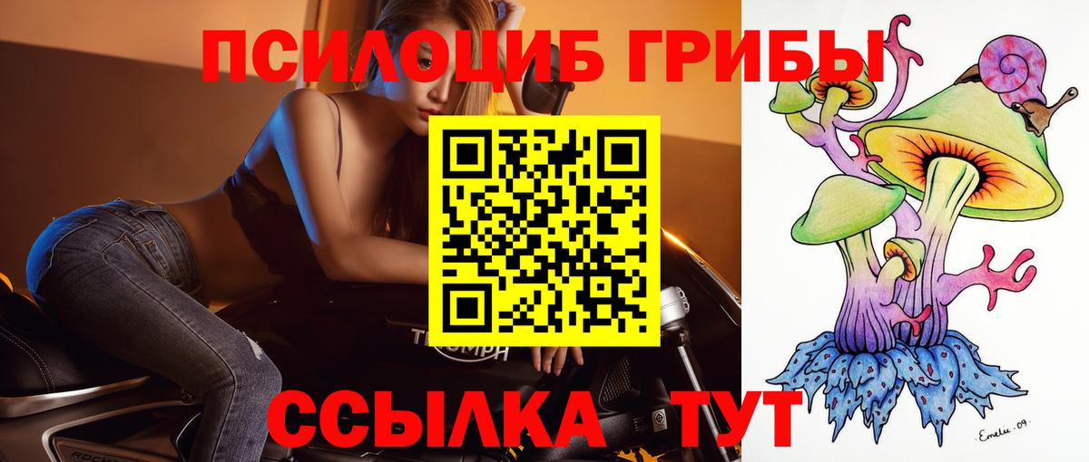 Псилоцибиновые грибы прущие грибы  наркота  Энгельс  Псилоцибиновые грибы GOLDEN TEACHER 