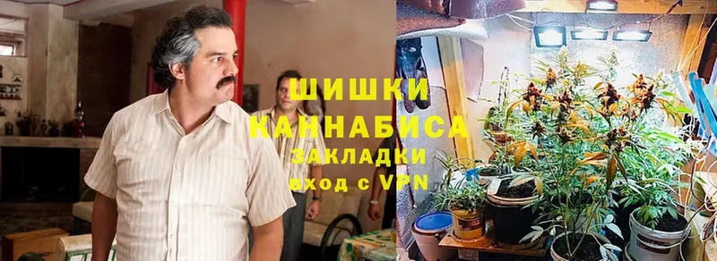 купить наркотик  Энгельс  Бошки марихуана Ganja 